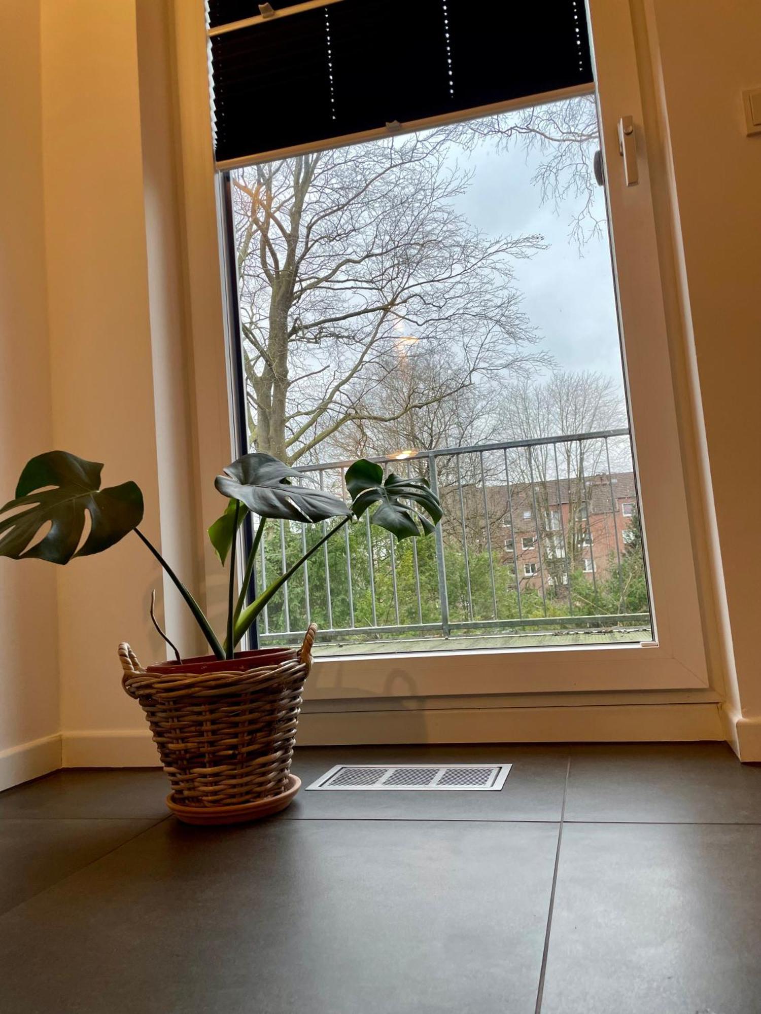 Modernes Holzhaus Im Skandinavischen Stil Mit Sauna, Garten Und 2 Katzen نوردرستيدت المظهر الخارجي الصورة